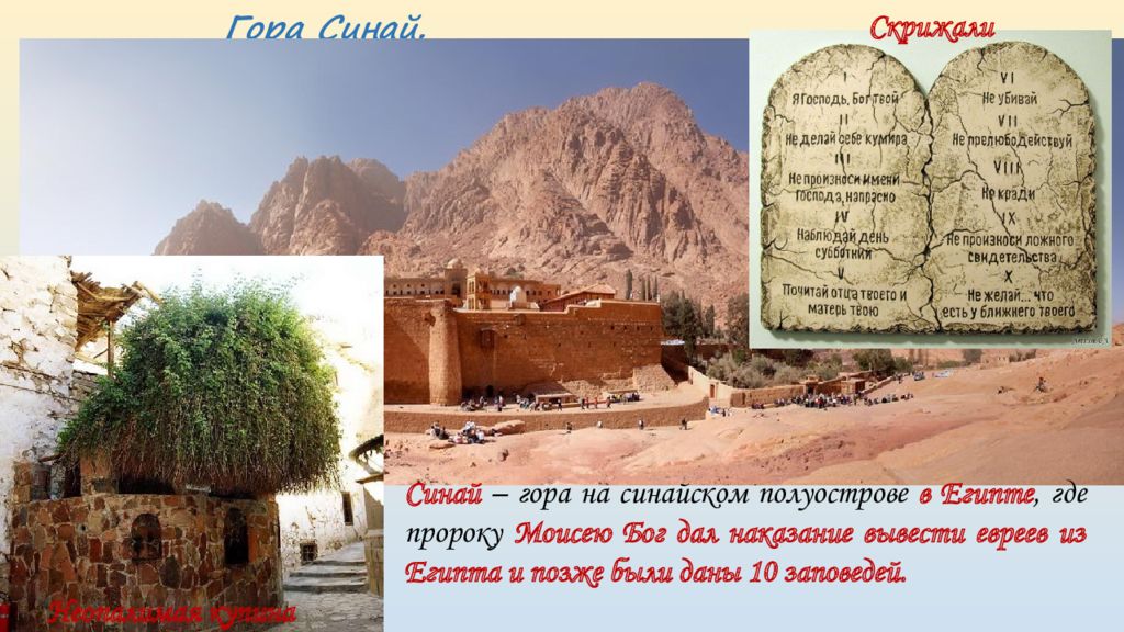 Манастир свете Катарине на Синајској гори - сведок величине светих Немањића